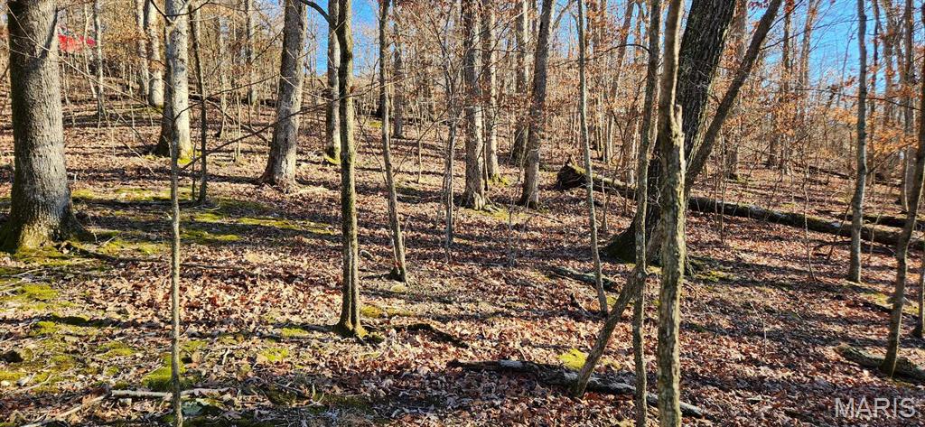 Lake Sherwood Estates - Land