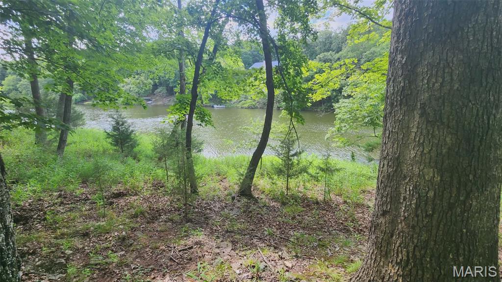 Lake Sherwood Estates - Land