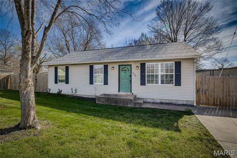 Photo of 206 N Smith Street, Park Hills, MO 63601 (MLS # 26017191)