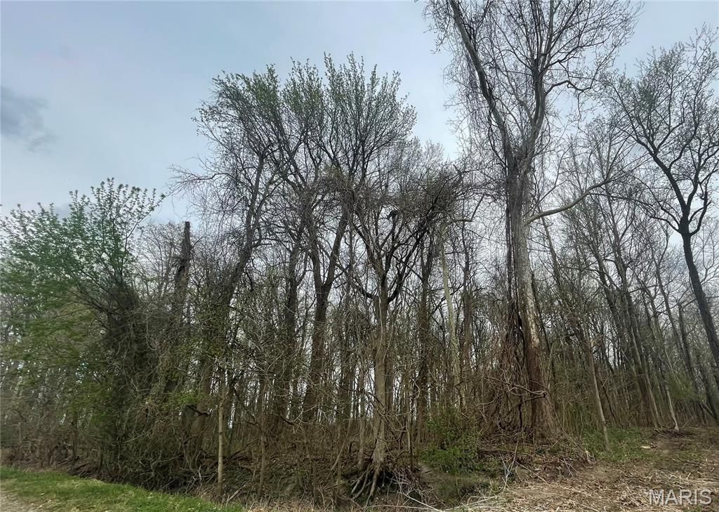 Photo of 0 County Road 351, Scott City, MO 63780 (MLS # 26019499)