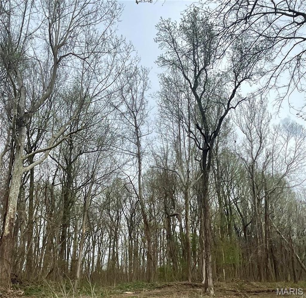 Photo of 0 County Road 351, Scott City, MO 63780 (MLS # 26019499)