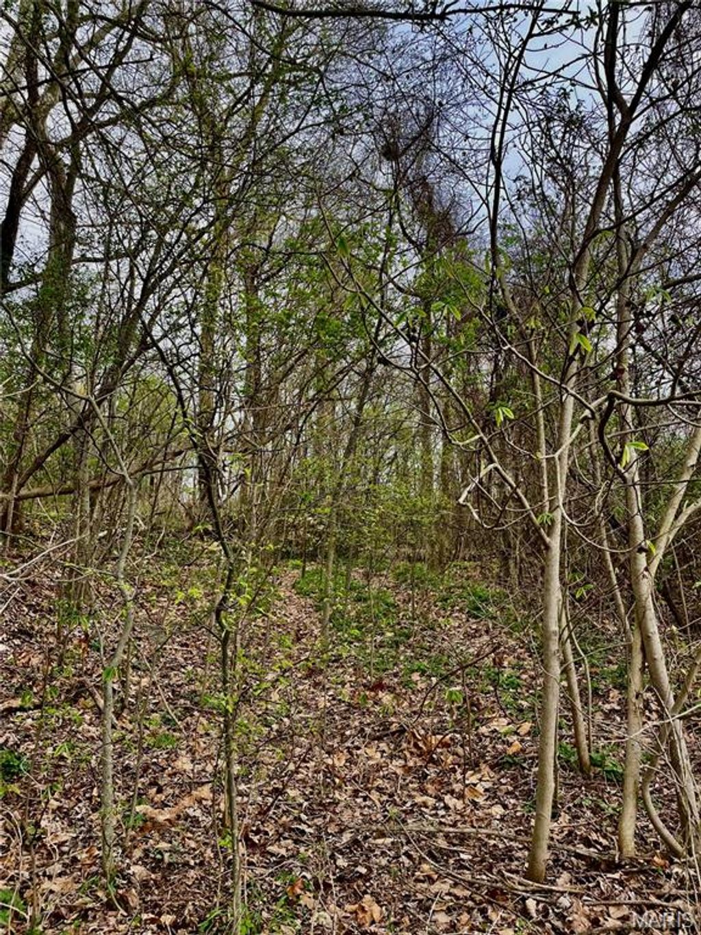 Photo of 0 County Road 351, Scott City, MO 63780 (MLS # 26019499)