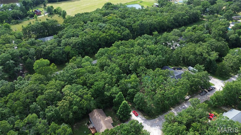 Lake St Clair - Land