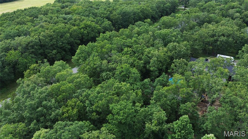 Lake St Clair - Land