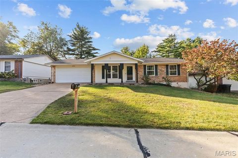 17 Avocado Tree Circle St Peters MO 63376
