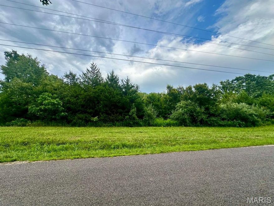 Excellent residential building lot just minutes from Salem, MO city limits. This surveyed 5.01 acre wooded lot offers electric, rural water access and paved road frontage. Ideal location for your dream home or perfect for home builders with additional lots available. Owner financing is available.