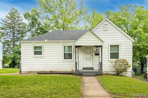 7117 Lamont Drive Flordell Hills MO 63136