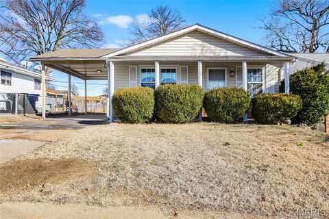 Photo of 3633 Poepping Street, St Louis, MO 63125 (MLS # 26002198)