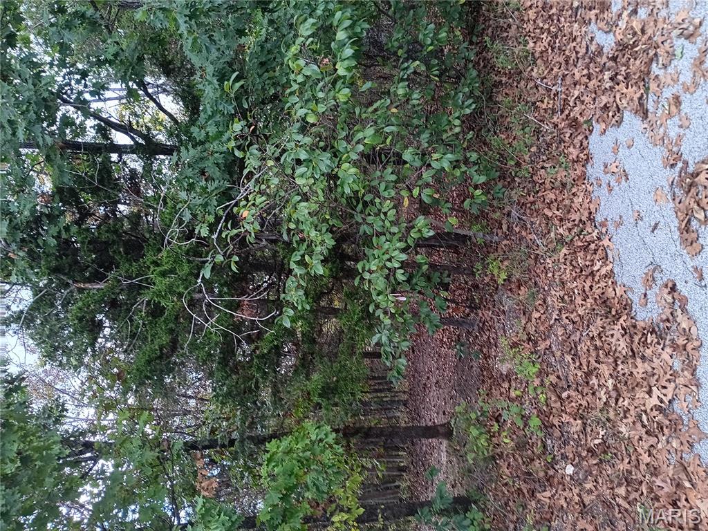 Raintree Plantation Sec 17 - Land