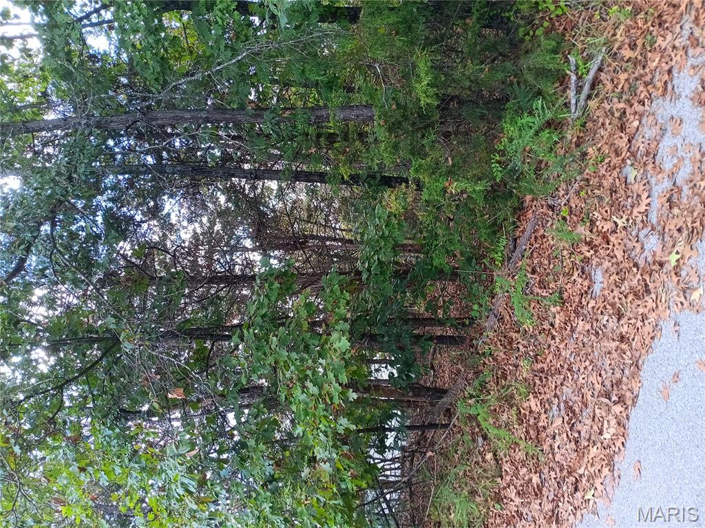 Raintree Plantation Sec 17 - Land