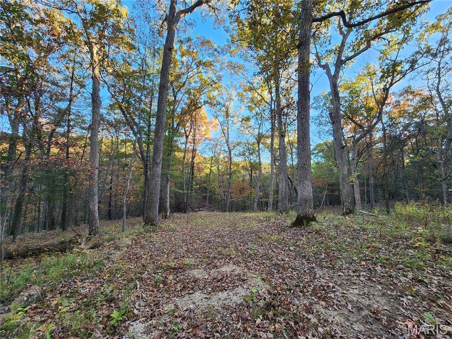 Fabulous lot in a wonderful subdivision. Drive through and take a look for yourself!!! This lot is partially cleared and ready for you to bring your plans and build!! Buy it now and build on it in the spring! The road is currently gravel however it will be paved in the near future.
