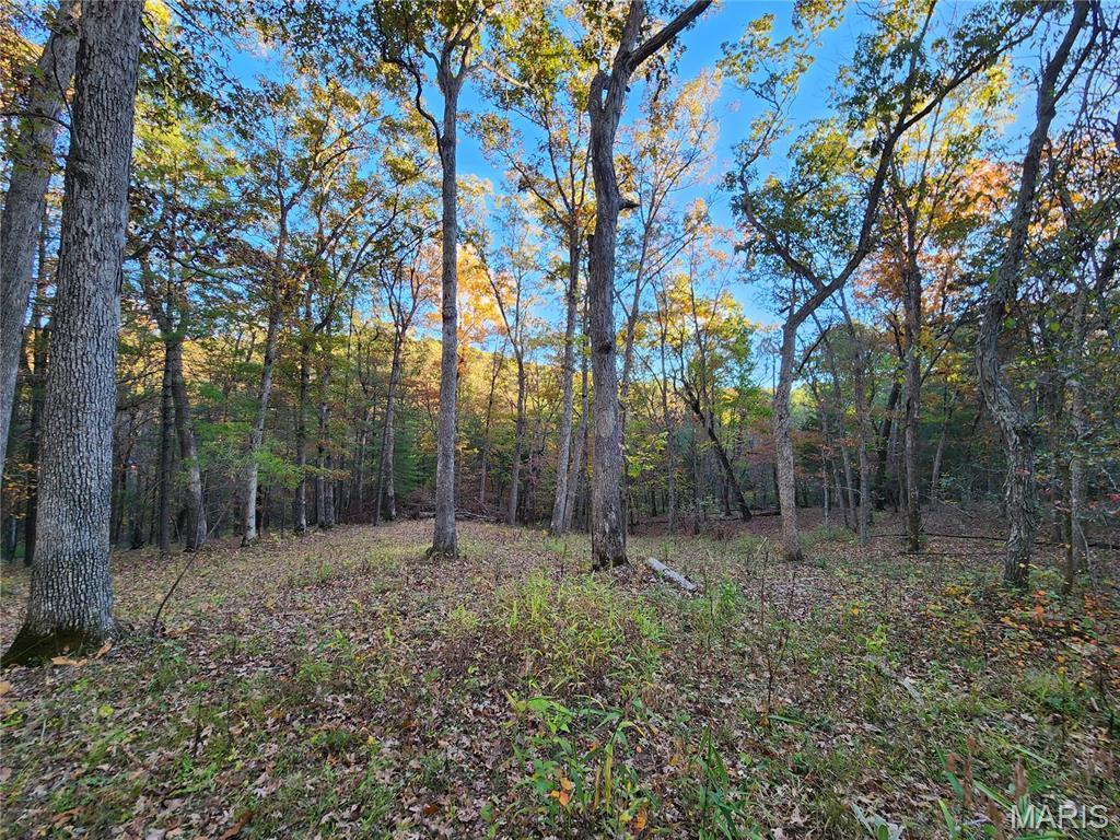 1414 Timber Valley Court