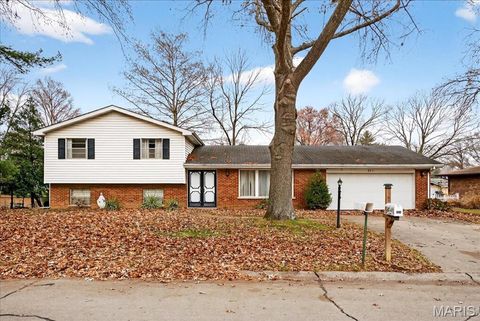 521 Leawood Drive Swansea IL 62226