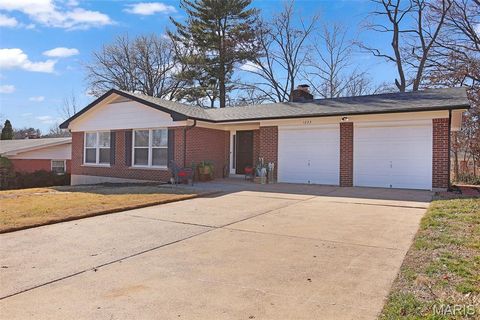 Photo of 1233 Hudson Hills Drive, St Louis, MO 63135 (MLS # 26011514)