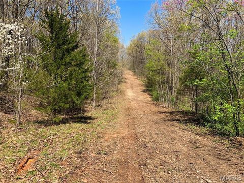 Photo of 39 Klausmeier Rd, Wright City, MO 63390 (MLS # 25008541)