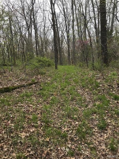 Tiny photo for 39 Klausmeier Rd, Wright City, MO 63390 (MLS # 25008541)