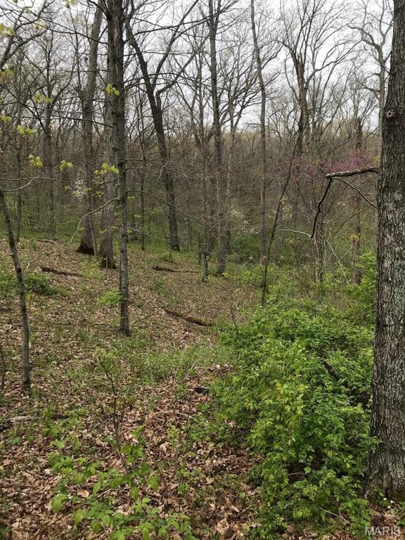 0 Klausmeier Rd