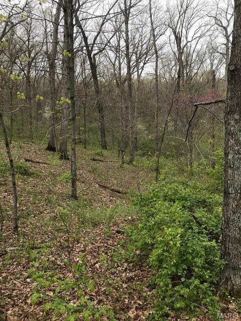 Tiny photo for 39 Klausmeier Rd, Wright City, MO 63390 (MLS # 25008541)