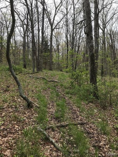 Tiny photo for 39 Klausmeier Rd, Wright City, MO 63390 (MLS # 25008541)