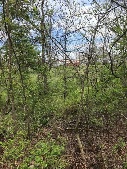 Tiny photo for 39 Klausmeier Rd, Wright City, MO 63390 (MLS # 25008541)