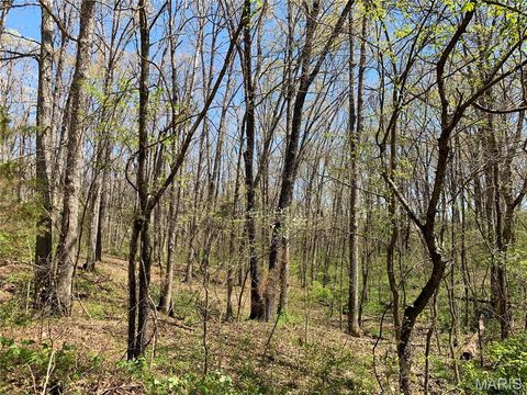Tiny photo for 39 Klausmeier Rd, Wright City, MO 63390 (MLS # 25008541)
