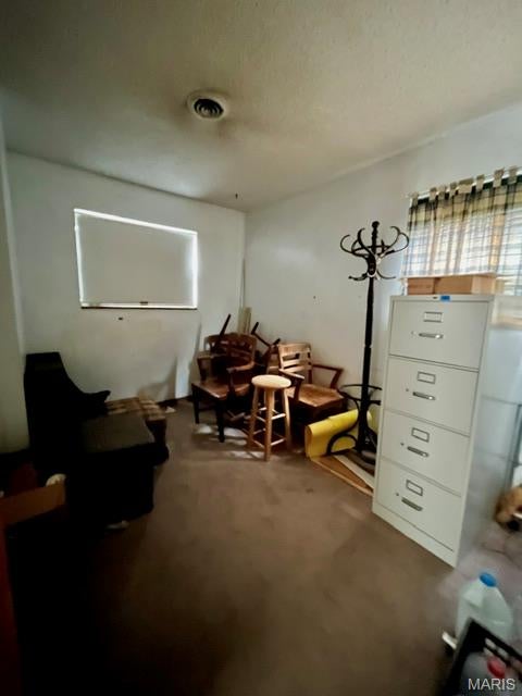 Tiny photo for 10315 Saint Jude Lane, St Ann, MO 63074 (MLS # 26066344)