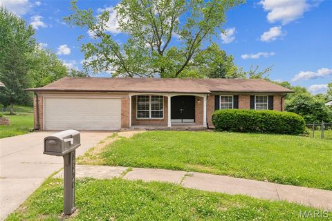 Photo of 6250 Pennyrich Court, Florissant, MO 63033 (MLS # 25080372)