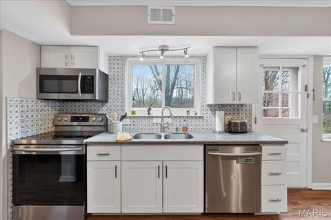 Tiny photo for 1104 Cantina Drive, Chesterfield, MO 63141 (MLS # 26010514)