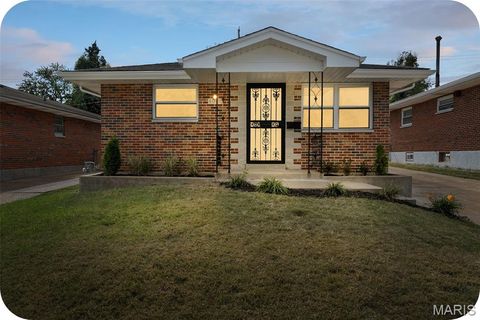 Photo of 4000 Steffens Avenue, St Louis, MO 63116 (MLS # 25069966)
