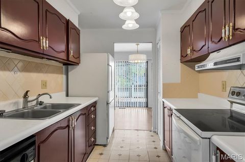 Tiny photo for 1503 Birnamwood Trail Drive, Ballwin, MO 63021 (MLS # 26020943)