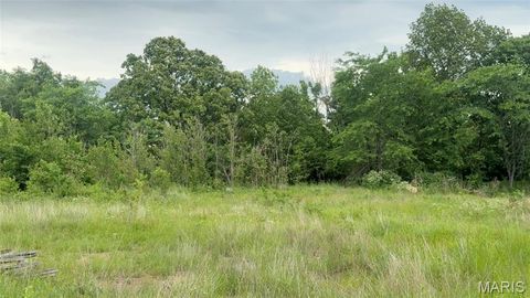 Tiny photo for 1429 OO, Fredericktown, MO 63645 (MLS # 26031461)