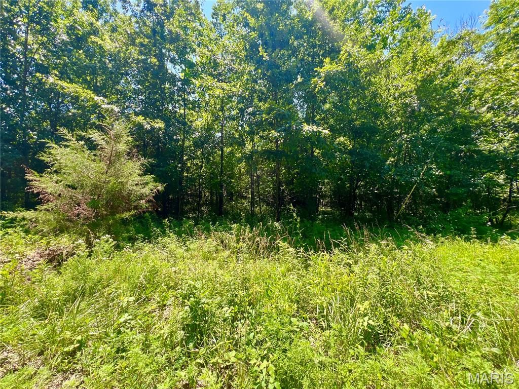 Photo of 14 Red Oak Road, Jonesburg, MO 63351 (MLS # 26004122)