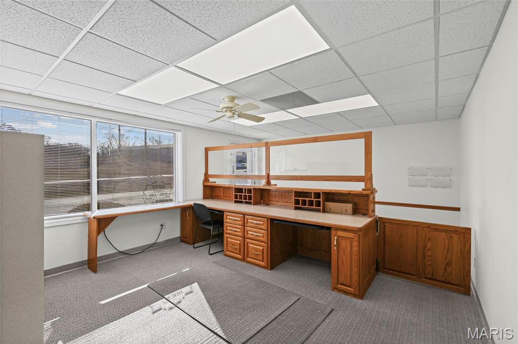 Happy Sock - Commercial Sale