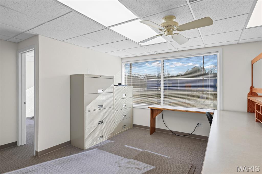 Happy Sock - Commercial Sale