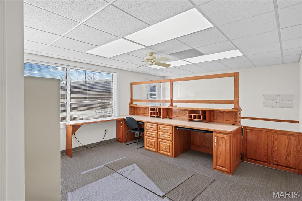 Happy Sock - Commercial Sale