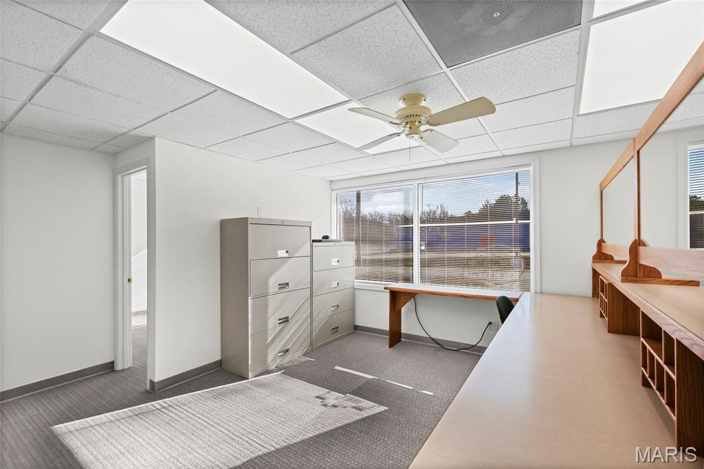 Happy Sock - Commercial Sale