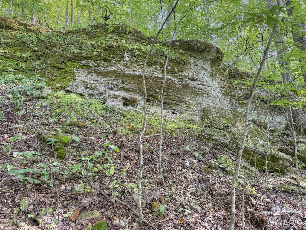 53.5 Ac m/l Pike 493