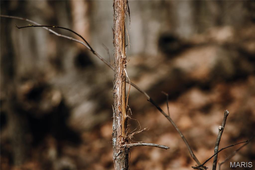 N/A - Residential Income