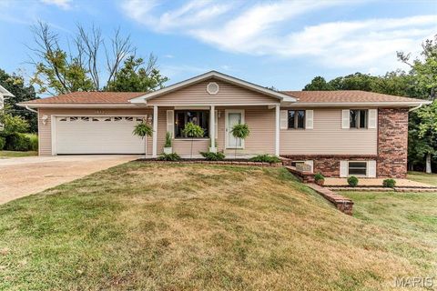 1612 Saint Marys Lane Festus MO 63028