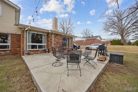 Tiny photo for 314 Annondale Lane, Ballwin, MO 63011 (MLS # 26001776)