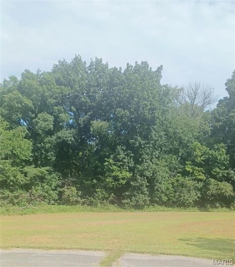 Tiny photo for 8 Summers Breeze Court, Hawk Point, MO 63349 (MLS # 25053380)