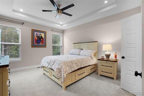 Tiny photo for 2 Spinney Bough Court, Wentzville, MO 63385 (MLS # 25078922)