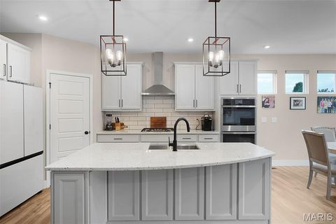 Tiny photo for 2 Spinney Bough Court, Wentzville, MO 63385 (MLS # 25078922)