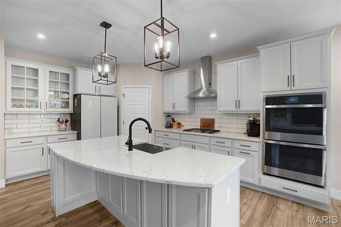 Tiny photo for 2 Spinney Bough Court, Wentzville, MO 63385 (MLS # 25078922)