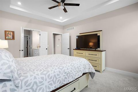 Tiny photo for 2 Spinney Bough Court, Wentzville, MO 63385 (MLS # 25078922)