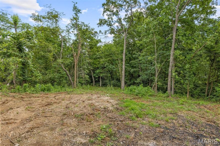 5 Lots totalling 1.113 acres (surveyed). Building/campsite has been cleared. 3 culverts installed. Electric pole and electric hook-up on-site. Extra wide gravel driveway (2025). Survey of lots and soil samples completed. Annual HOA fee $575/year includes use of all 13 lakes (upkeep and stocked), trash, road maintenance, police and fire service. Bring your own toys and register with office. Fire tags are $30/year. Bring your camper, tent or build to suit (subject to Lake Timberline zoning and compliance). SEPTIC & BUILDING APPROVED!