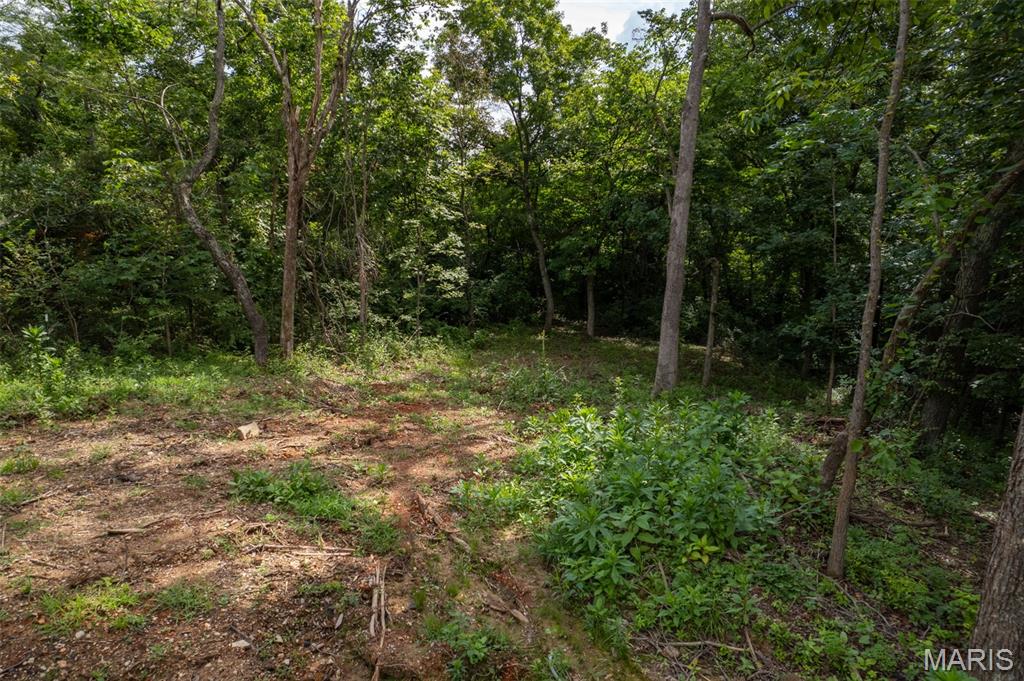 Lake Timberline 33 - Land