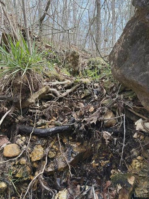 Tiny photo for 3528 M- County Road 329, Ava, MO 65608 (MLS # 26023977)