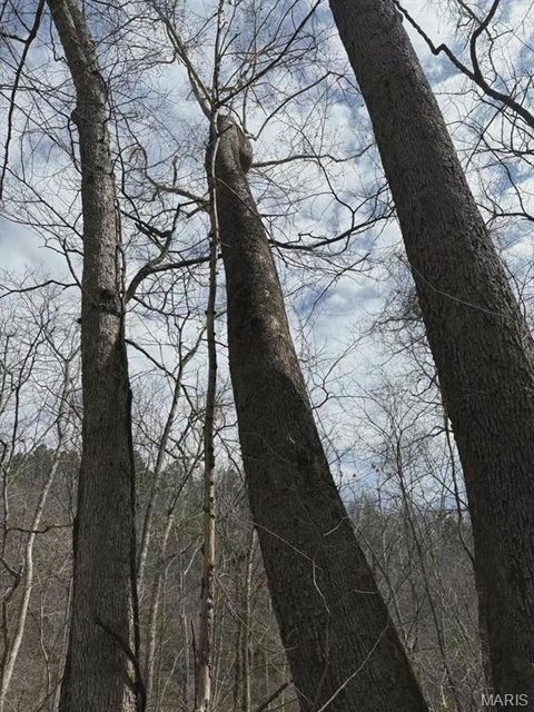 Tiny photo for 3528 M- County Road 329, Ava, MO 65608 (MLS # 26023977)