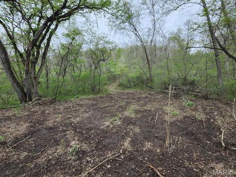 Tiny photo for 3528 M- County Road 329, Ava, MO 65608 (MLS # 26023977)
